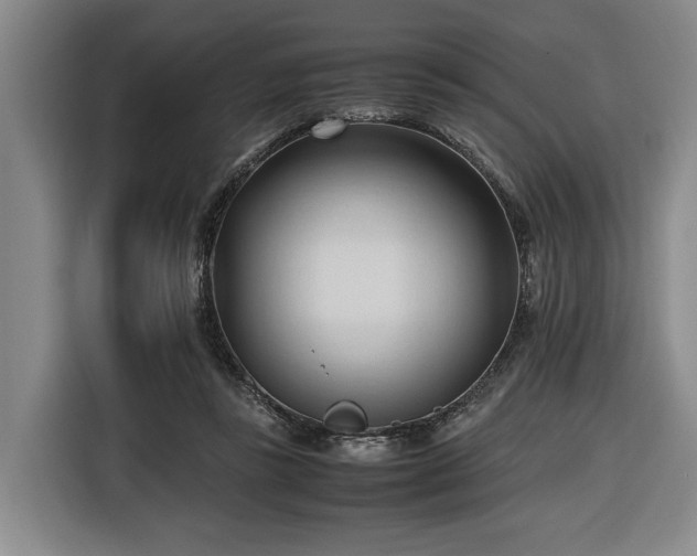 X0000116680355200912211628