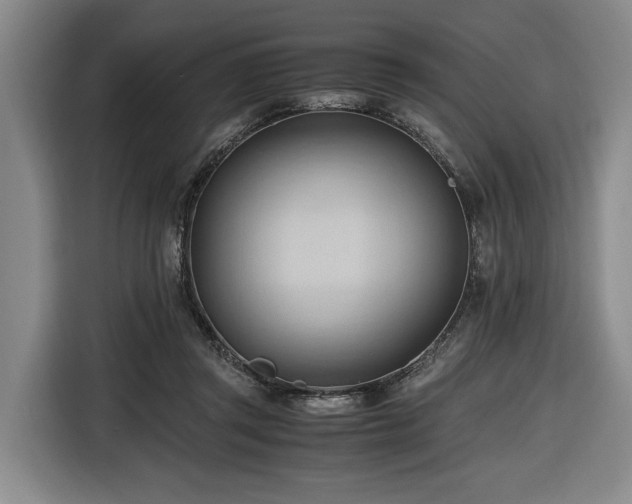 X0000116680357200912211628