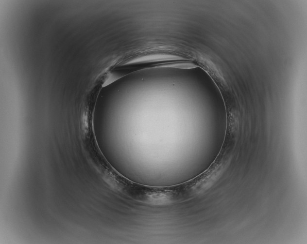 X0000116680358200912211628