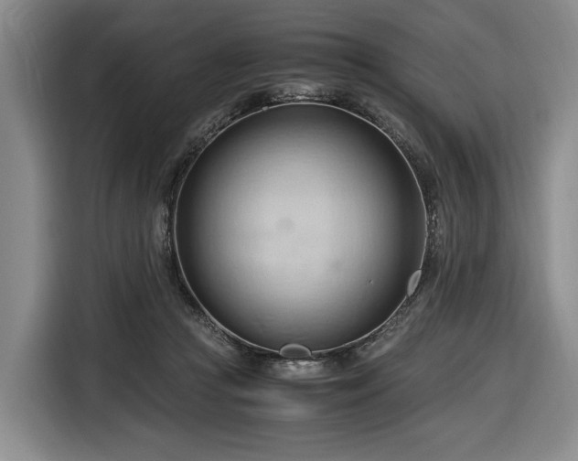 X0000116680361200912211628