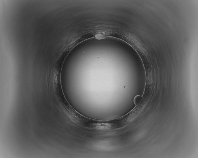 X0000116680363200912211628