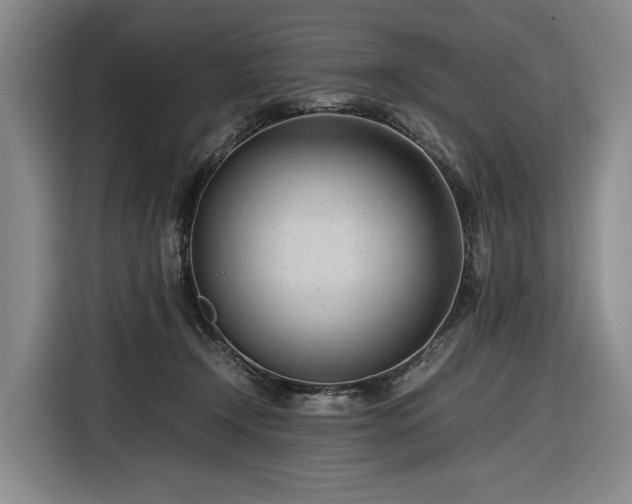 X0000116680366200912211628