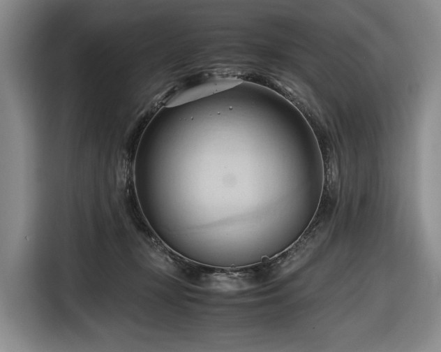 X0000116680367200912211628