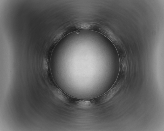 X0000116680374200912211628