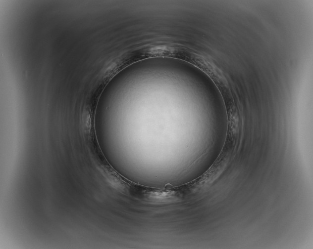 X0000116680375200912211628