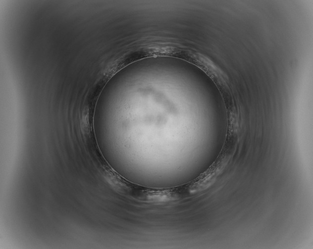 X0000116680377200912211628