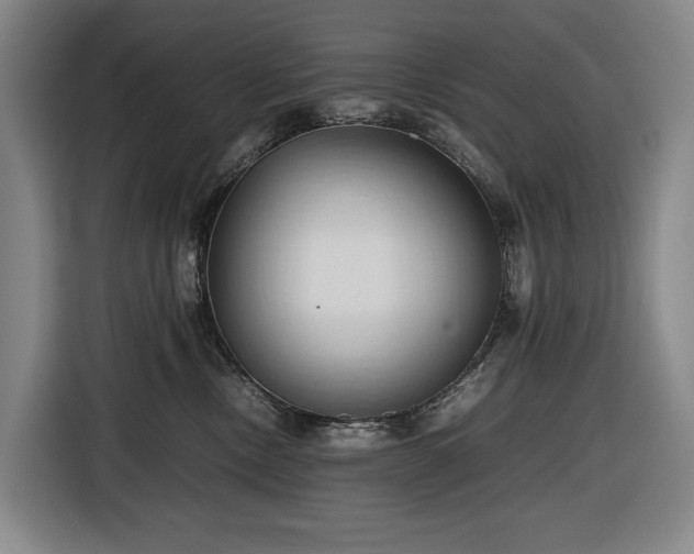 X0000116680378200912211628