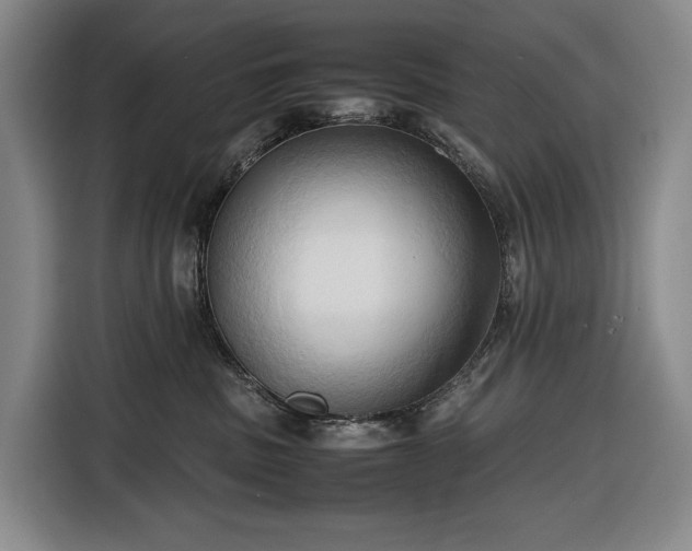 X0000116680379200912211628