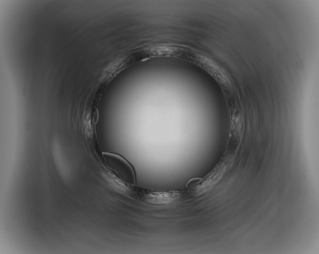 X0000116680381200912211628