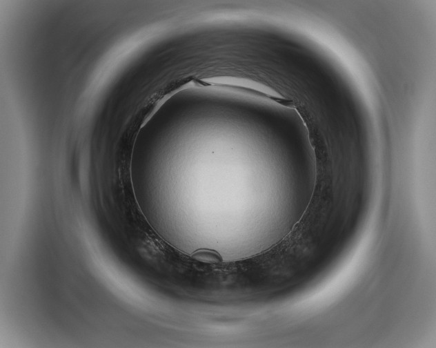 X0000116680382200912211628