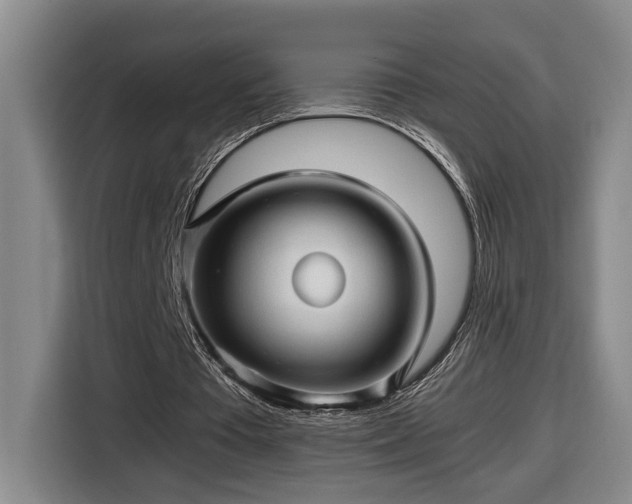 X0000116680385200912211628