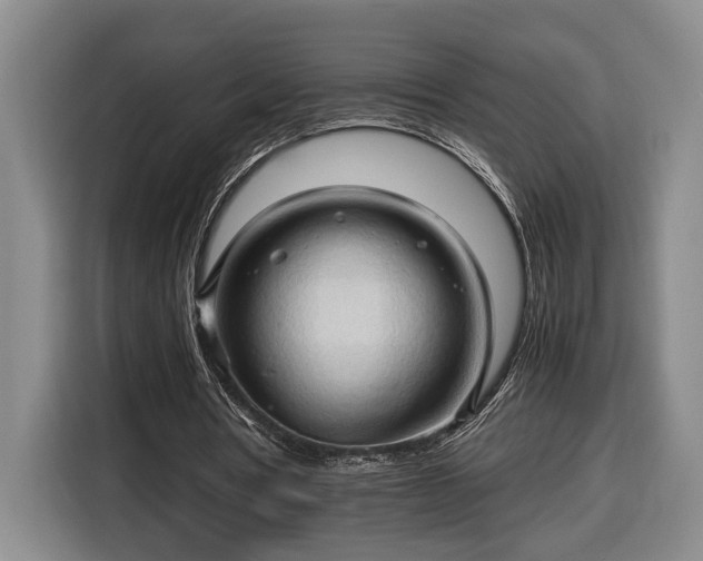 X0000116680386200912211628