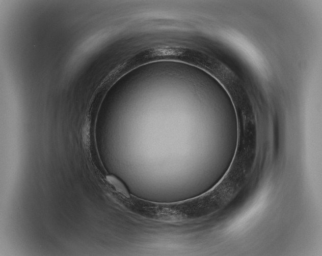 X0000116680387200912211628