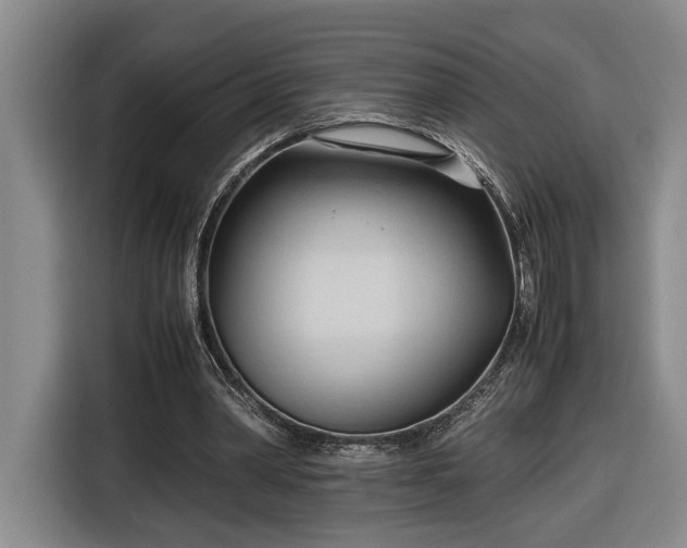 X0000116680390200912211628