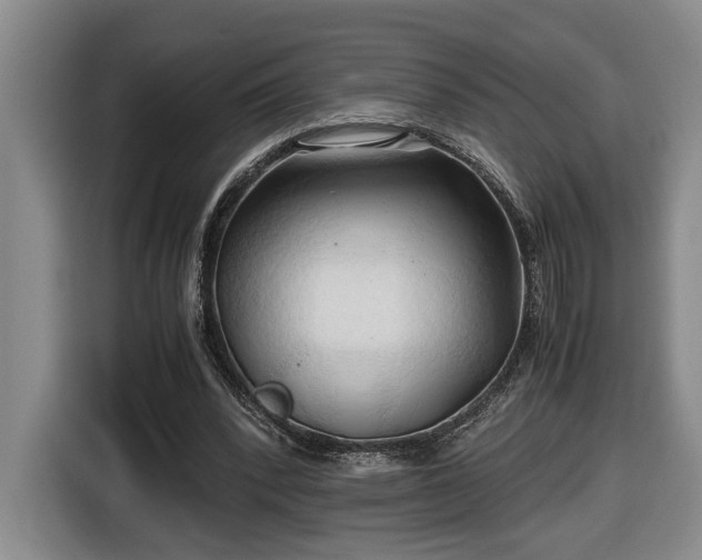 X0000116680392200912211628