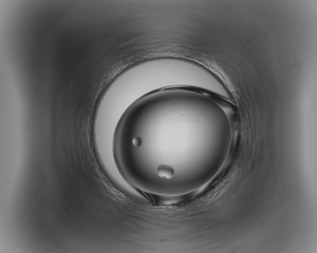 X0000116680393200912211628