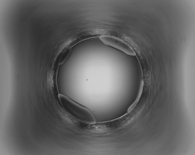 X0000116680395200912211628