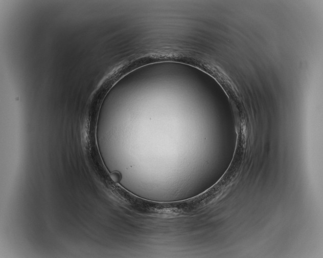 X0000116680396200912211628