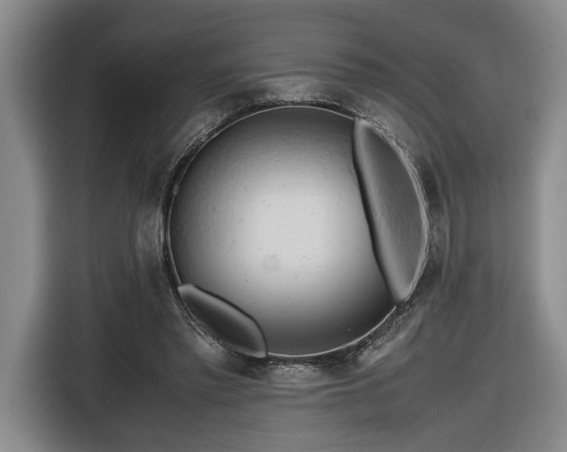 X0000116680397200912211628