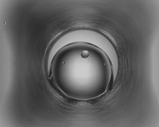 X0000116680399200912211628