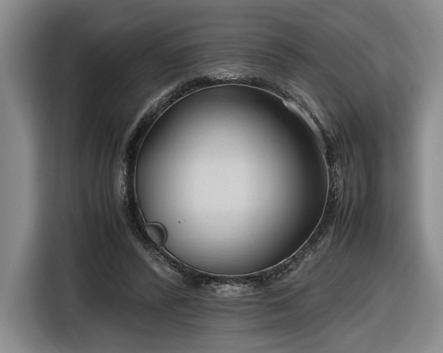 X0000116680400200912211628