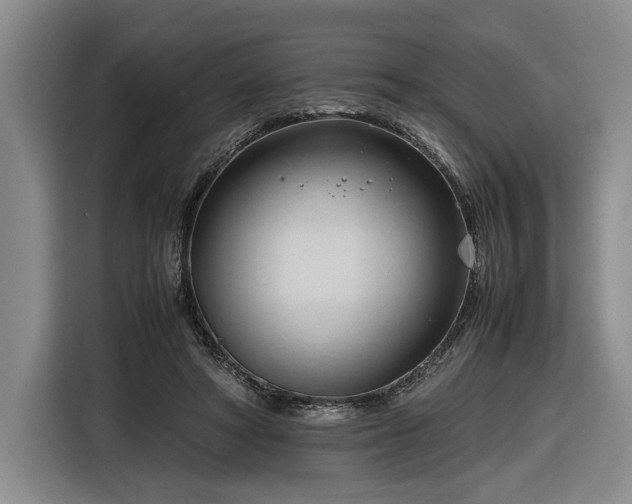 X0000116680402200912211628