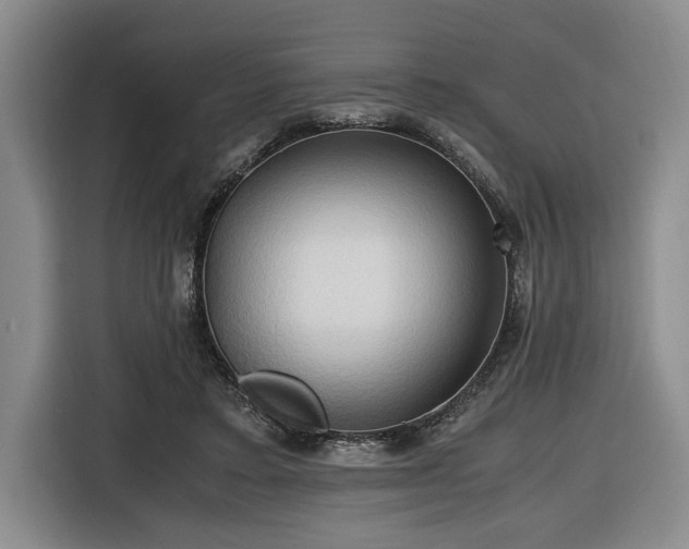 X0000116680403200912211628