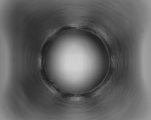 X0000116680404200912211628