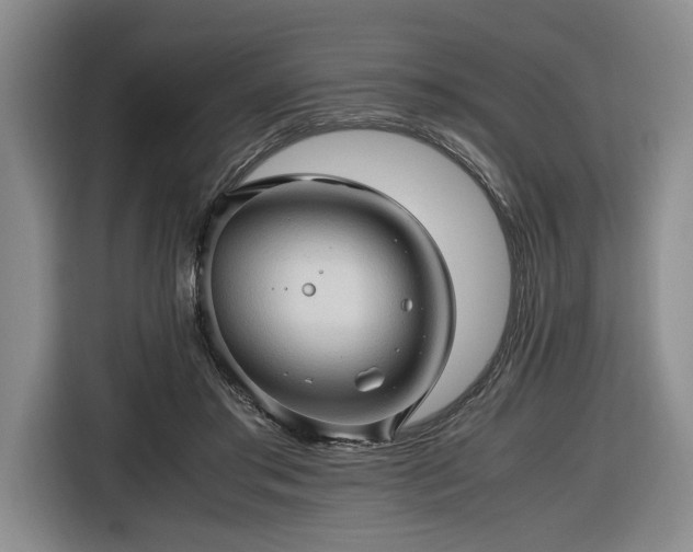 X0000116680405200912211628