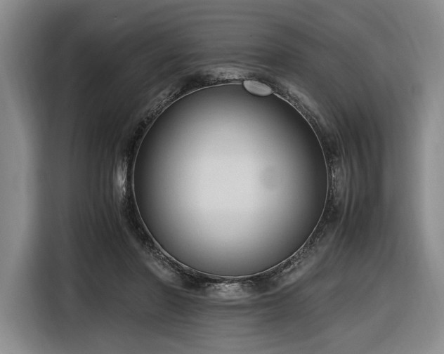 X0000116680406200912211628