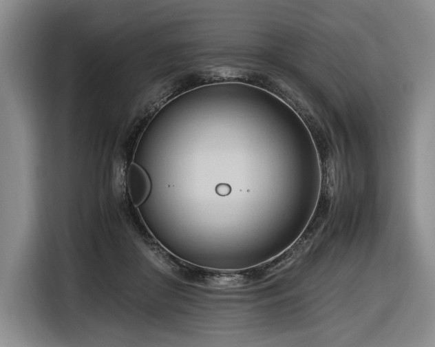 X0000116680410200912211628