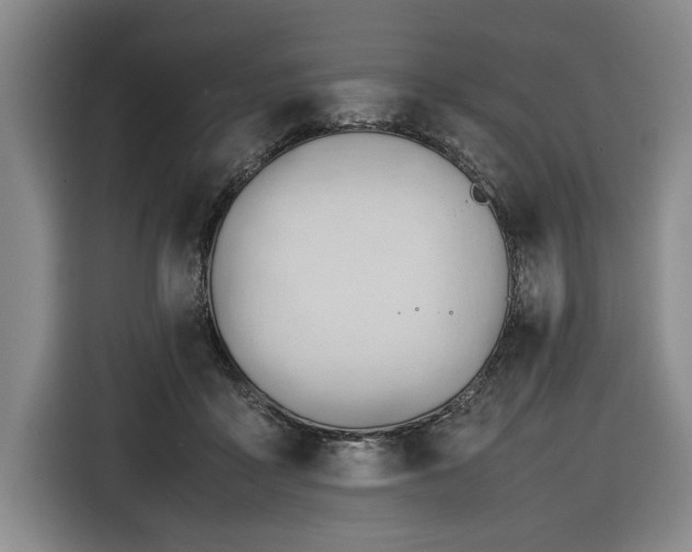 X0000116680411200912211628