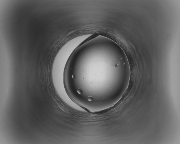 X0000116680413200912211627