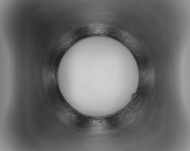 X0000116680415200912211627