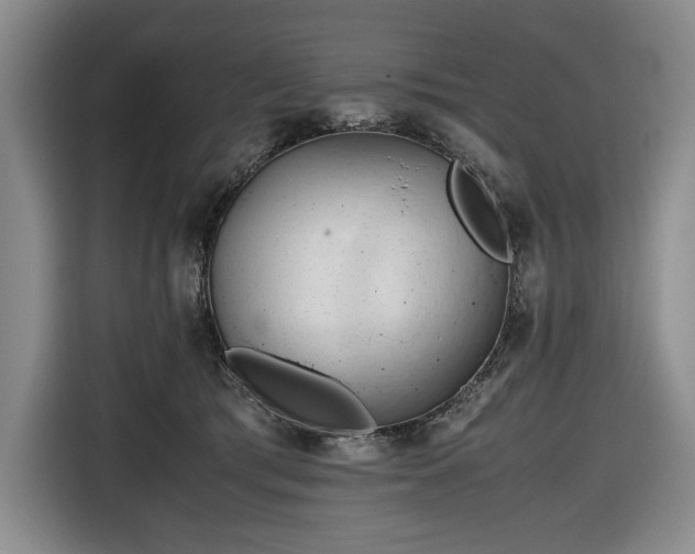 X0000116680417200912211627