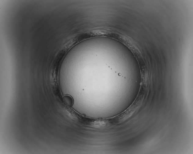 X0000116680418200912211627