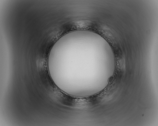 X0000116680419200912211627