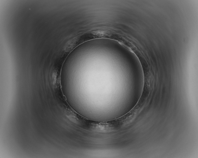 X0000116680420200912211627