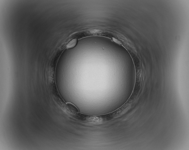 X0000116680421200912211627