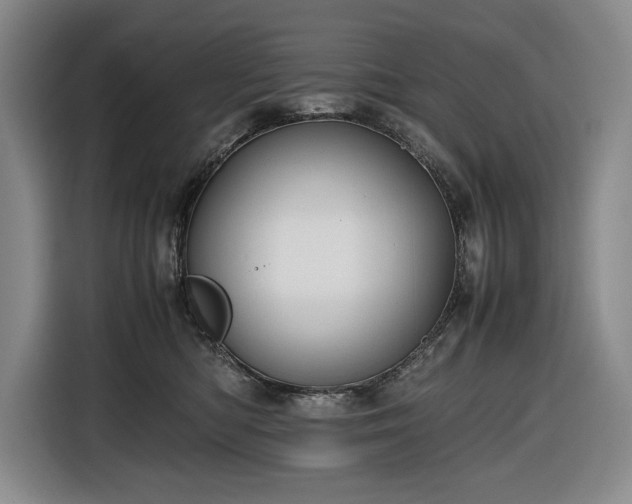 X0000116680422200912211627