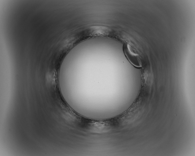 X0000116680423200912211627