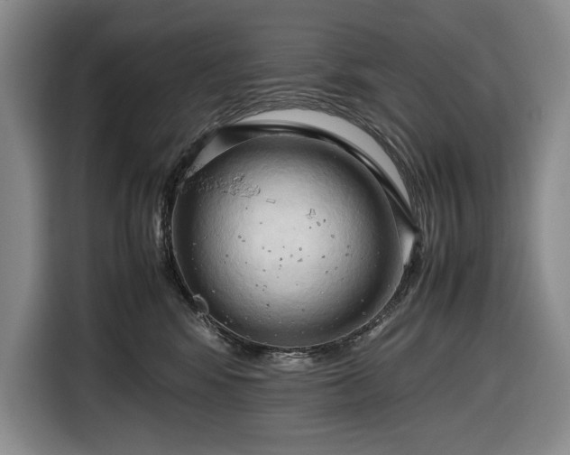 X0000116680424200912211627