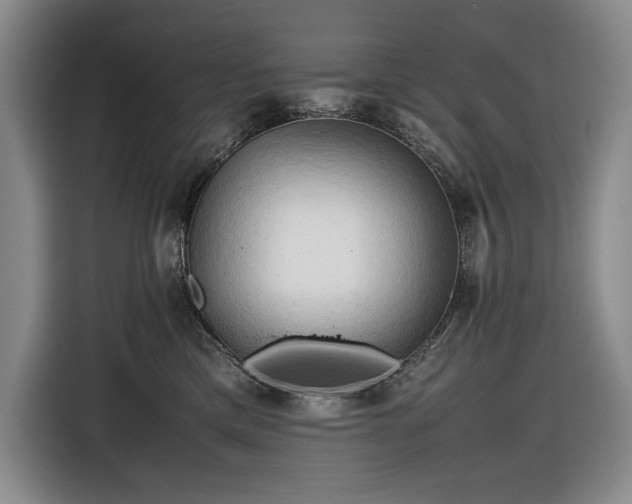 X0000116680425200912211627