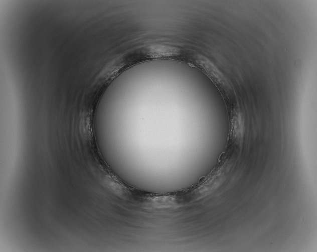 X0000116680426200912211627