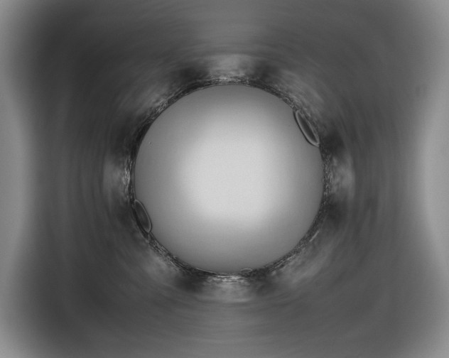 X0000116680427200912211627