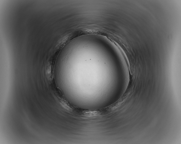 X0000116680428200912211627