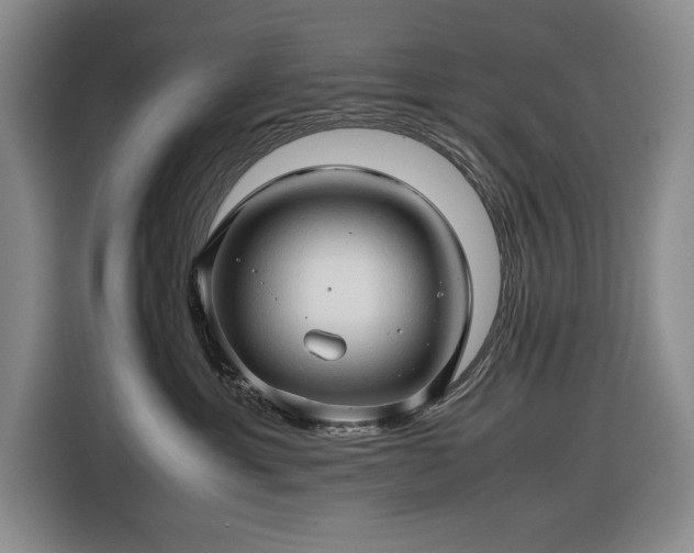 X0000116680429200912211627