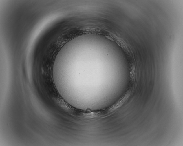 X0000116680430200912211627