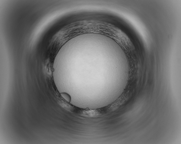 X0000116680431200912211627