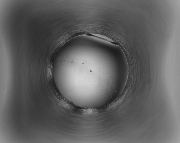 X0000116680432200912211627